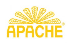 logo_apache